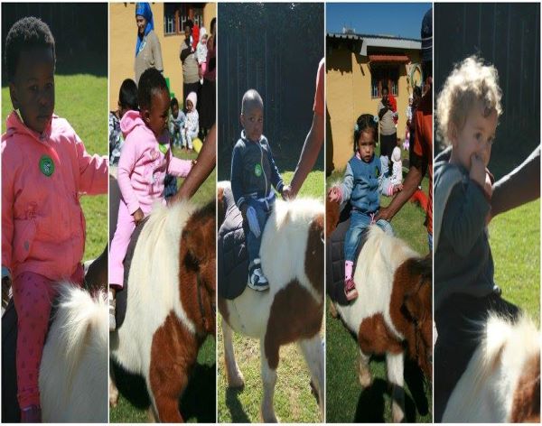AbacusKidz Educational Shows-16